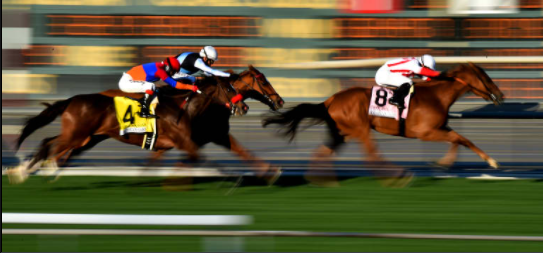 Horse Racing Betting Sites